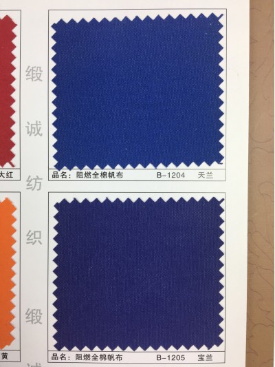 GZ-XNCG   阻燃全棉帆布   C100％   21+21*10  72*40 細節-1